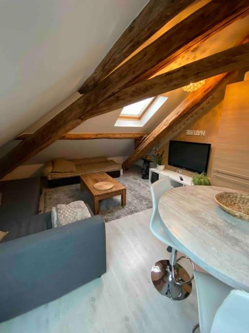 Gap : Centre Ville : Appartement Cosy Εξωτερικό φωτογραφία